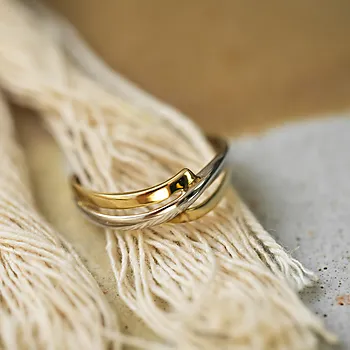 Bilde nummer 3 av Pan Jewelry, Ring i 585 hvitt og gult gull