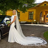 Bilde nummer 5 av En gang til brudekjole, Pronovias Melva