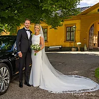 Bilde nummer 4 av En gang til brudekjole, Pronovias Melva