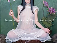 Secret Dreams of Erotic Princess 2 | ARK Bokhandel