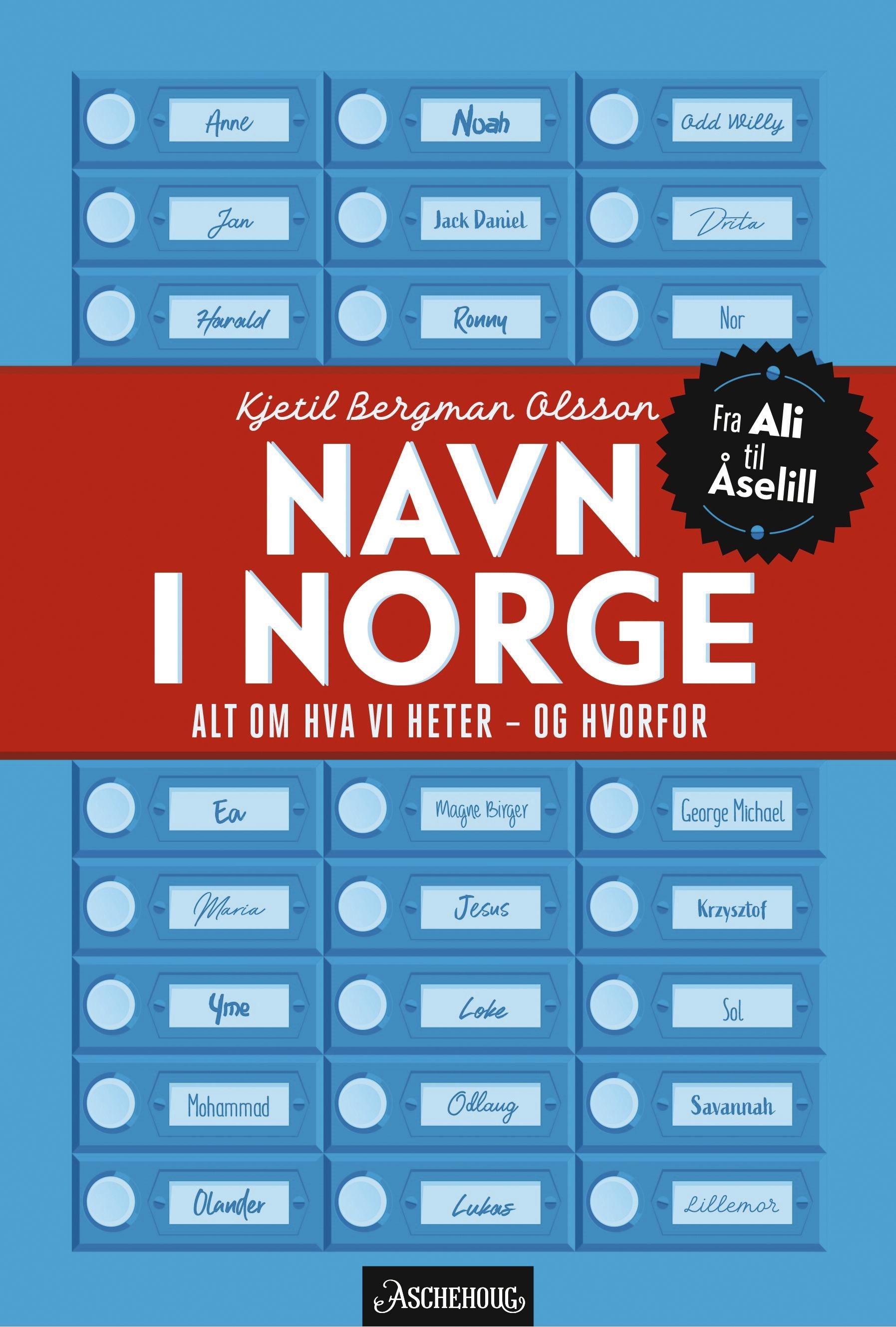 Navn I Norge - Alt Om Hva Vi Heter - Og Hvorfor | ARK Bokhandel