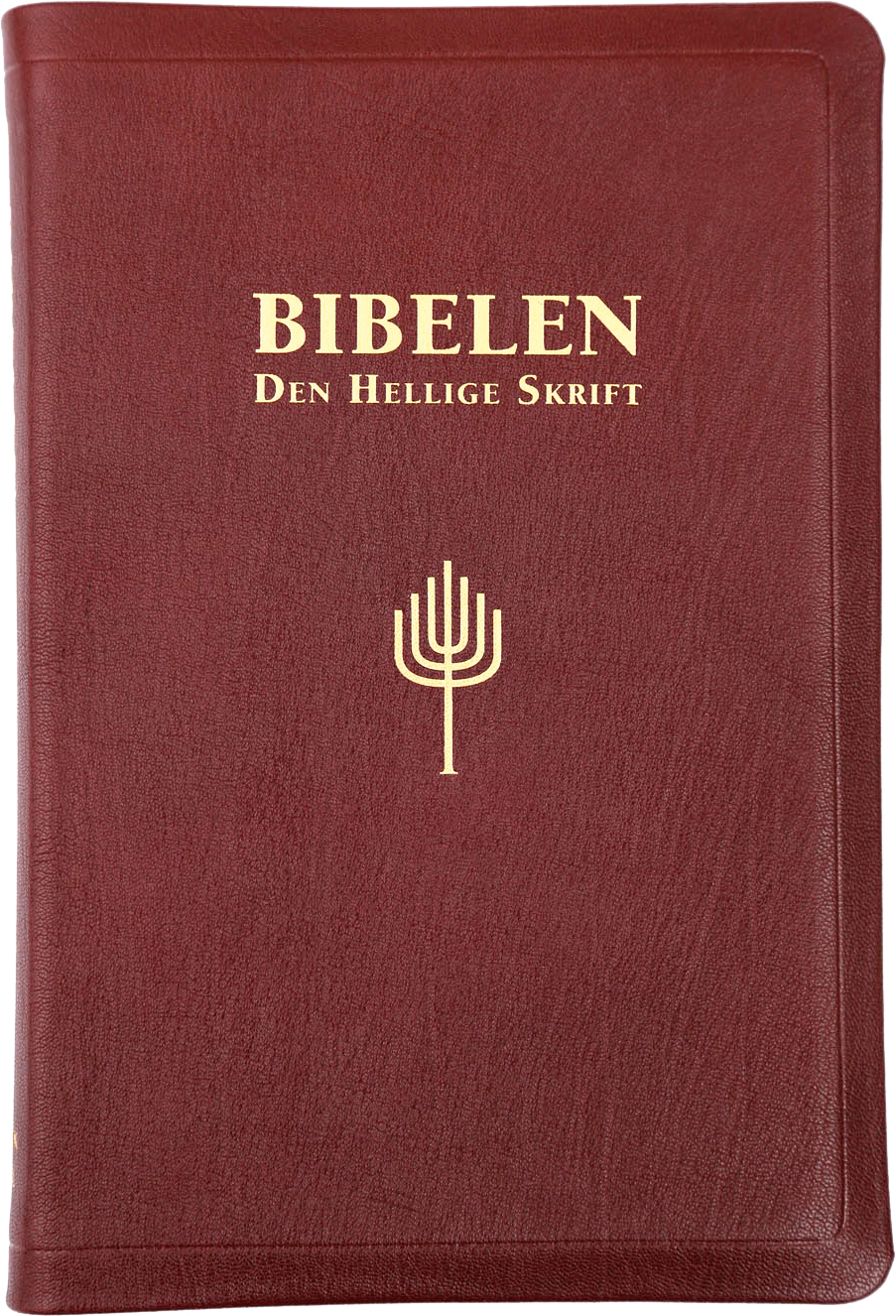 Bibelen - Den Hellige Skrift, Det Gamle Og Det Nye Testamentes ...