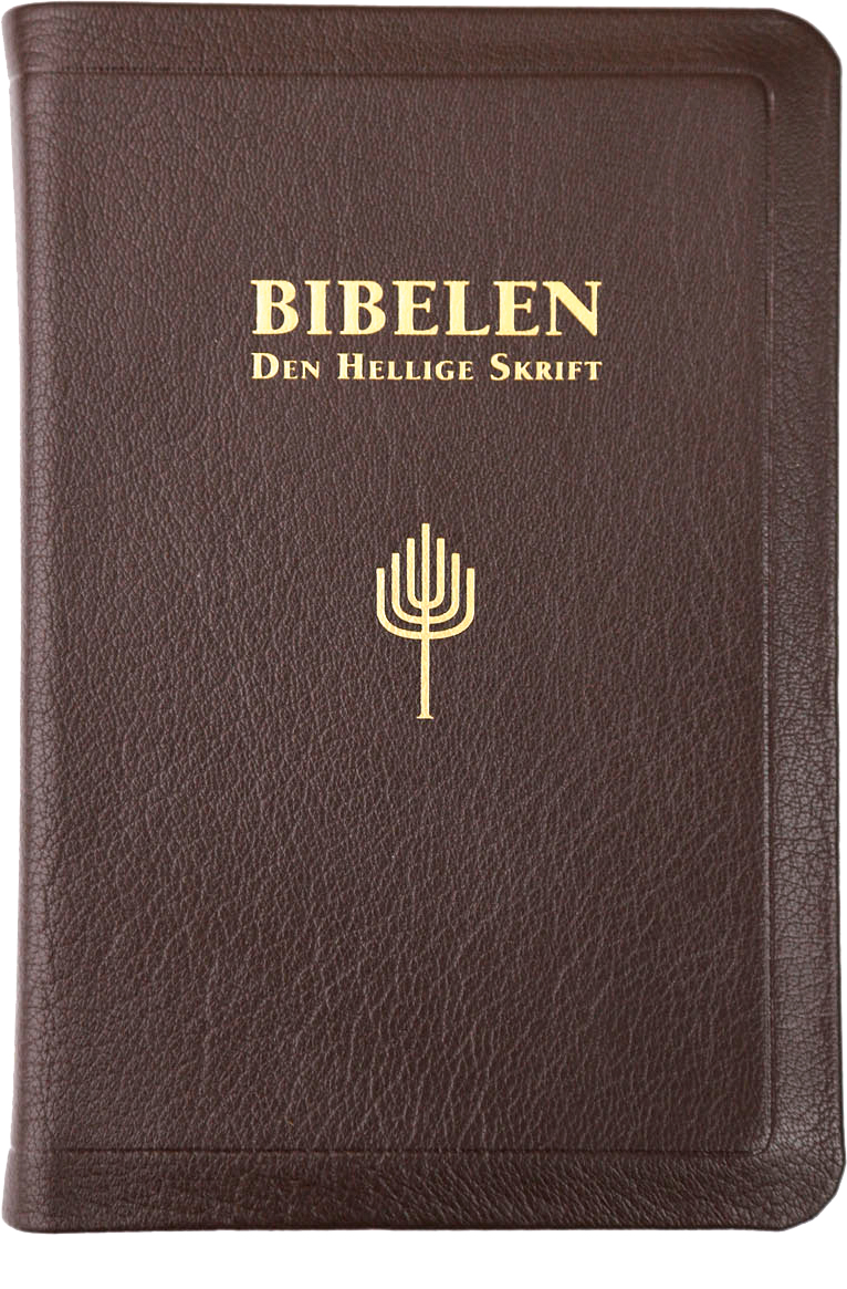 Bibelen - Den Hellige Skrift, Det Gamle Og Det Nye Testamentes ...