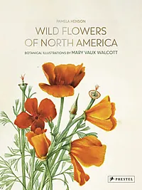 Wild Flowers of North America: 9783791388892 | : Books