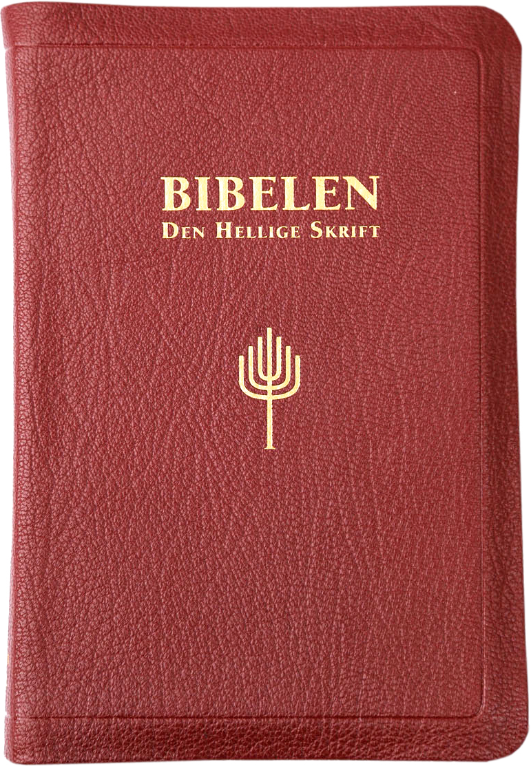 Bibelen - Den Hellige Skrift, Det Gamle Og Det Nye Testamentes ...