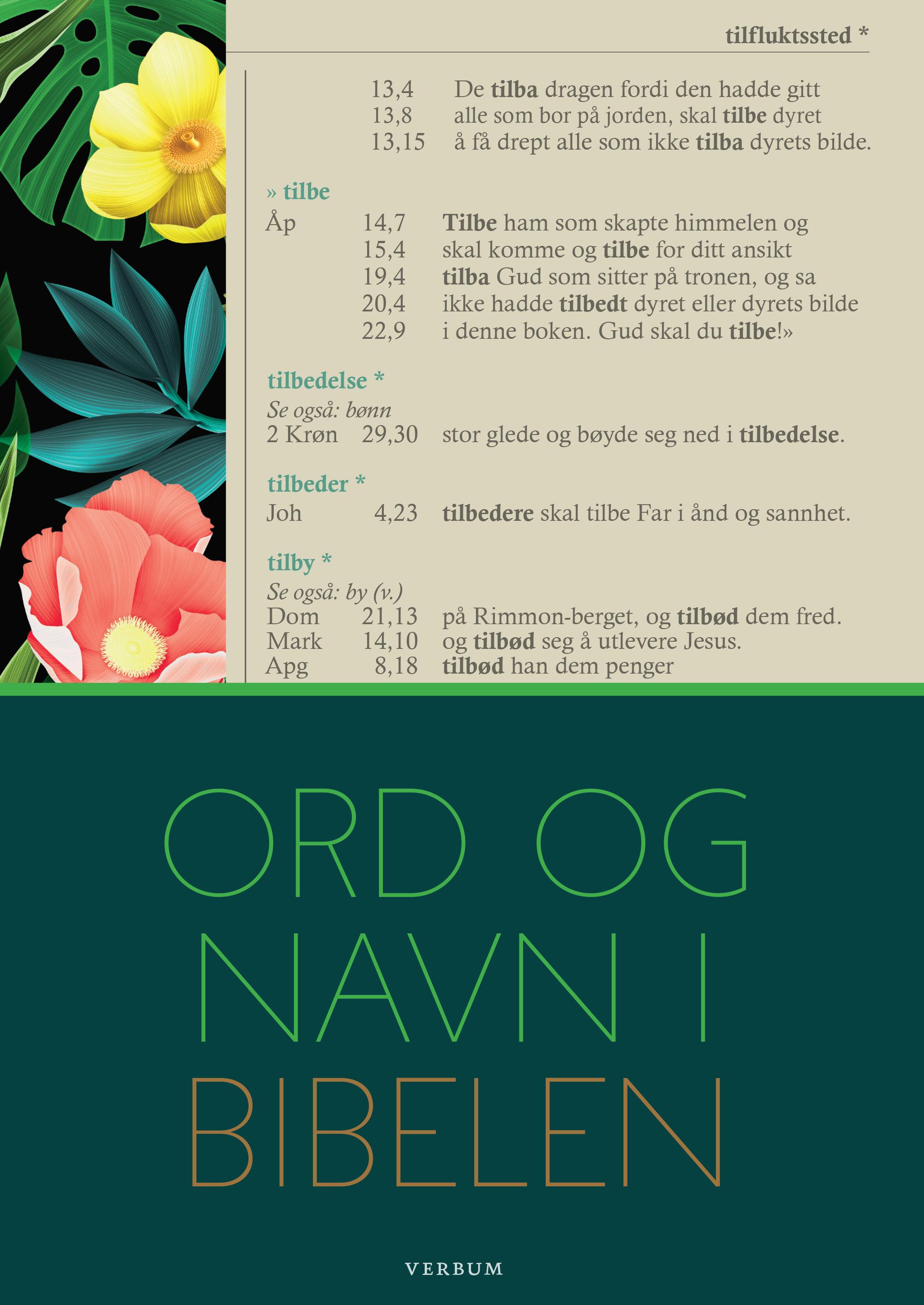 Ord Og Navn I Bibelen | ARK Bokhandel