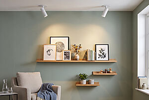 71247-70_Falcon Spot_MP2.jpg