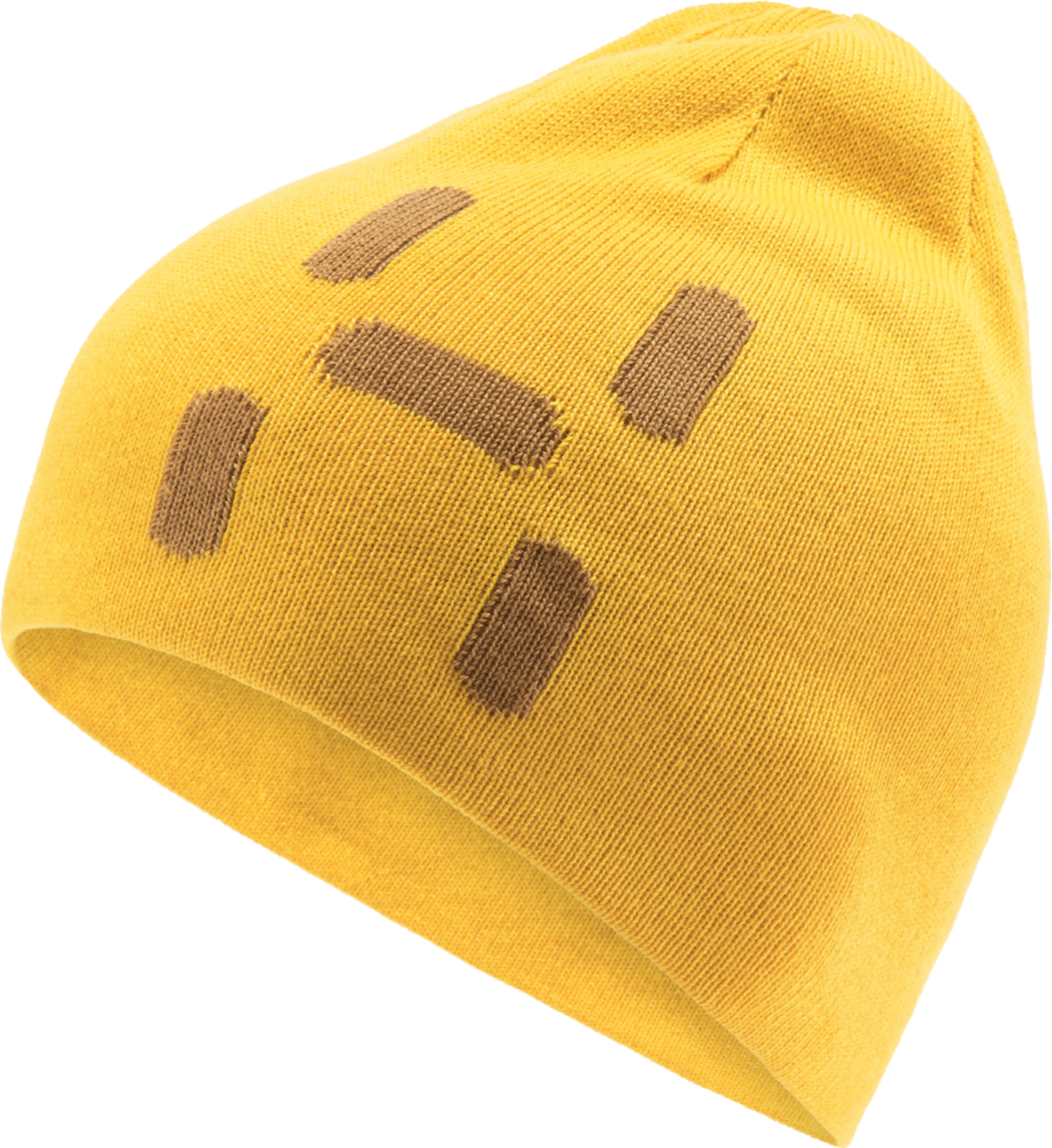 Reversible Logo Beanie