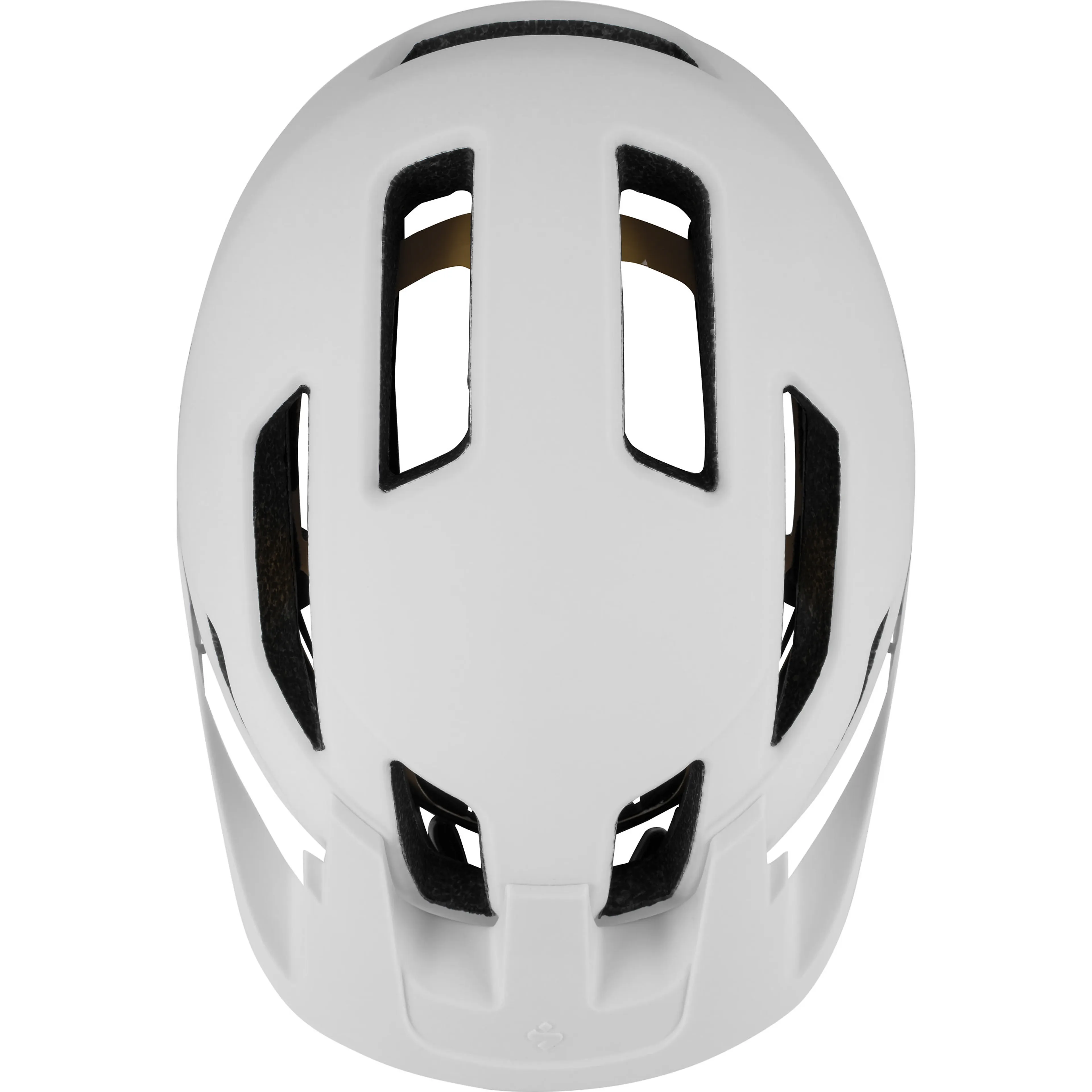 Dissenter MIPS Helmet