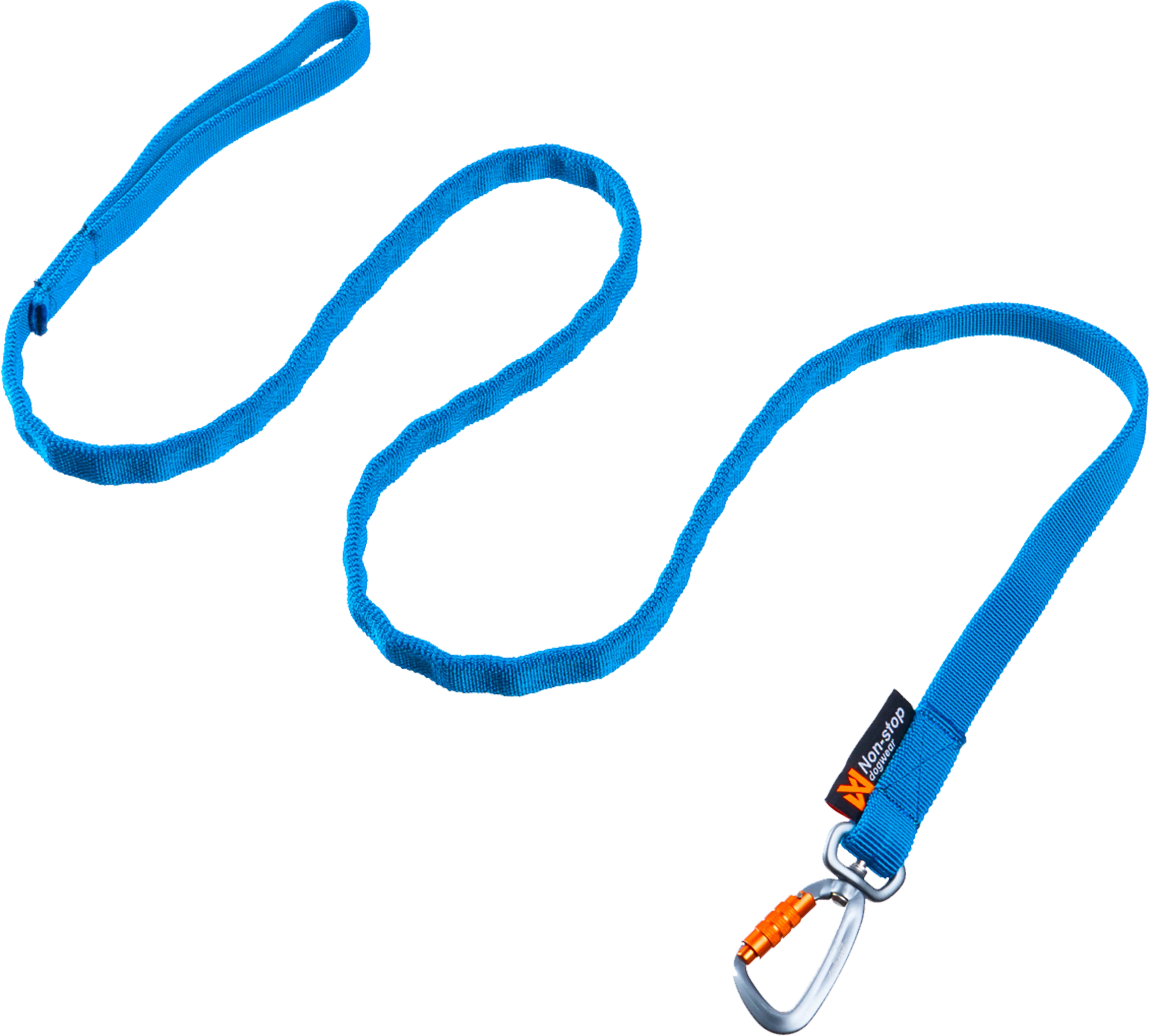 Bungee leash