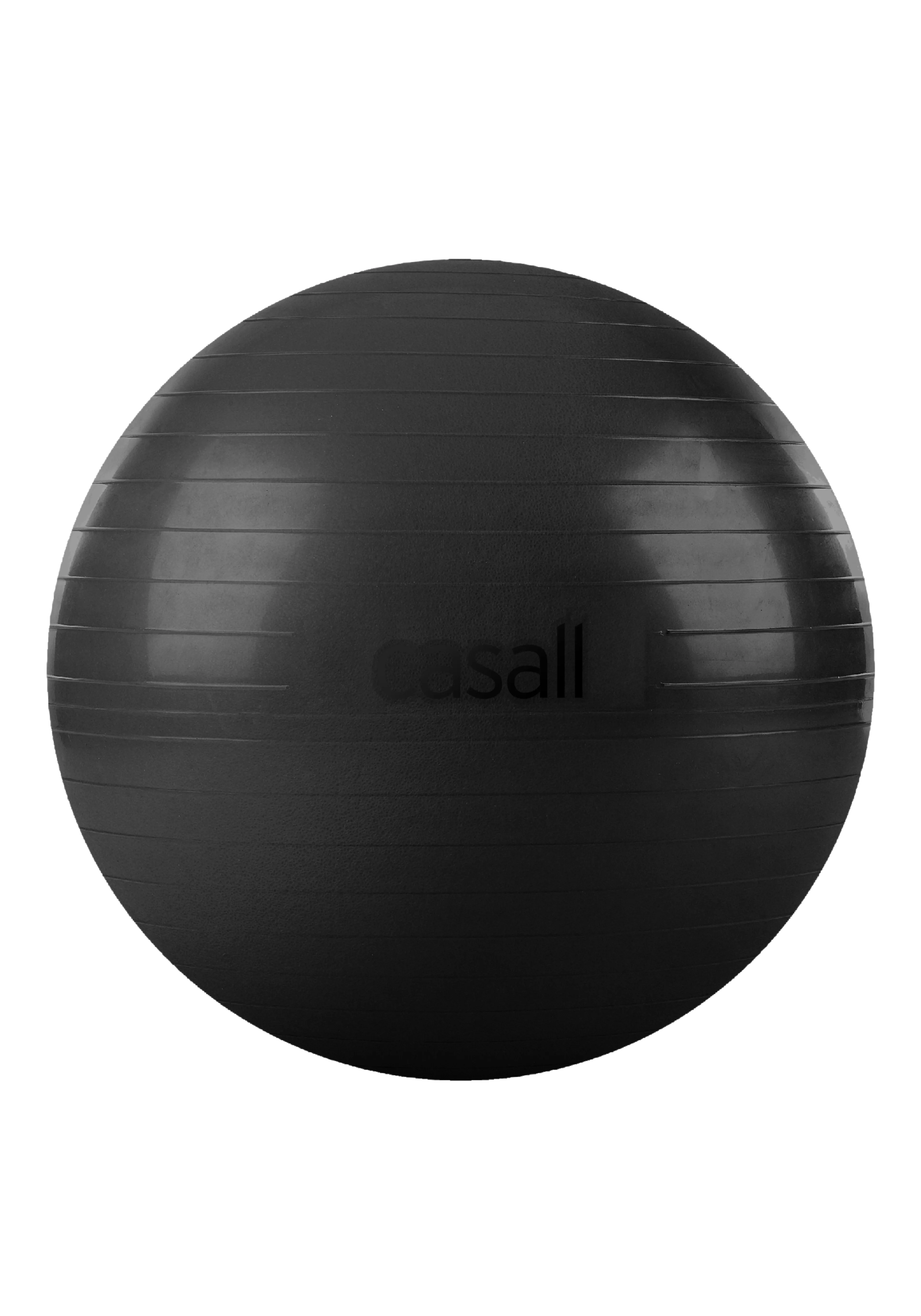 Exercise Ball 60-65 cm