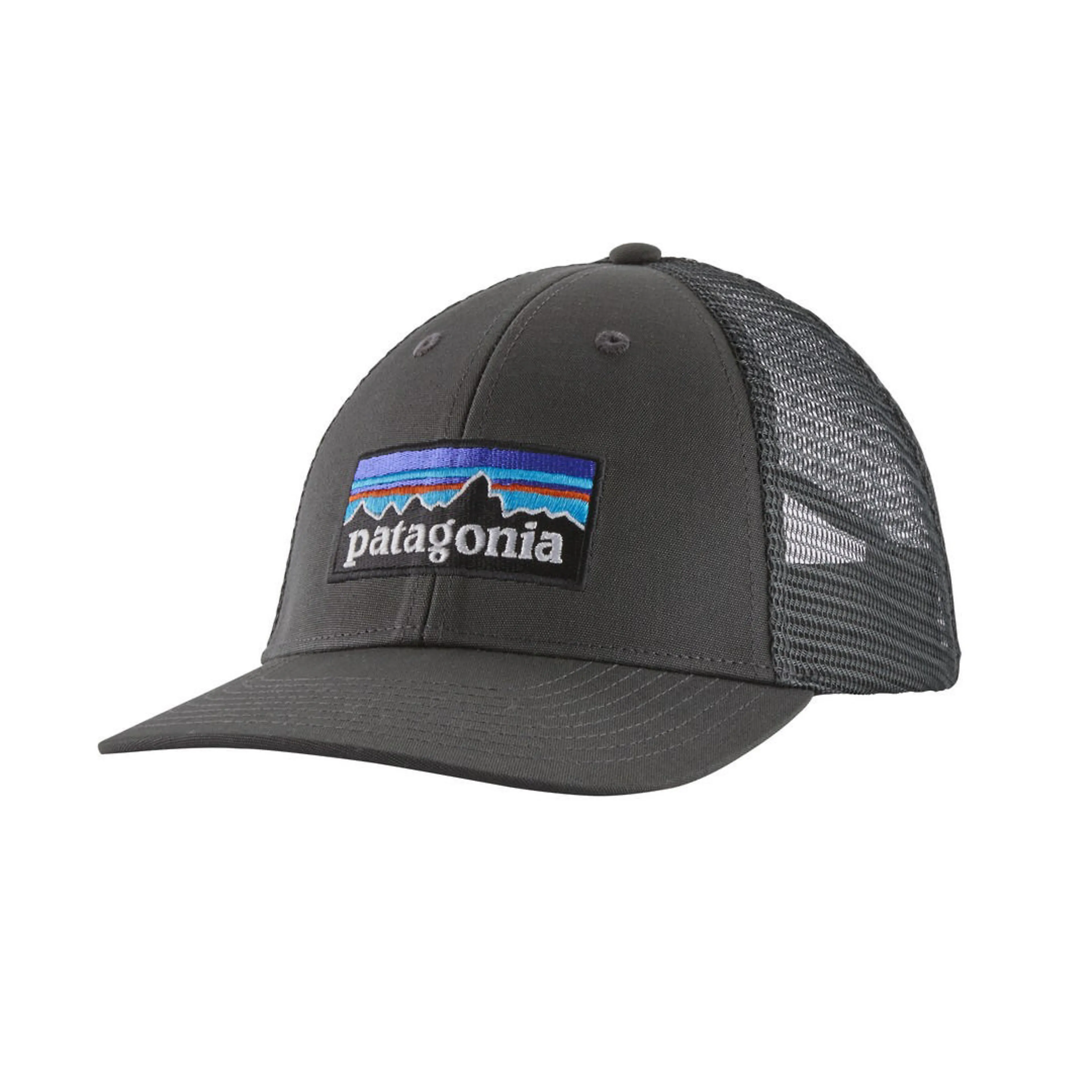 P-6 Logo LoPro Trucker caps