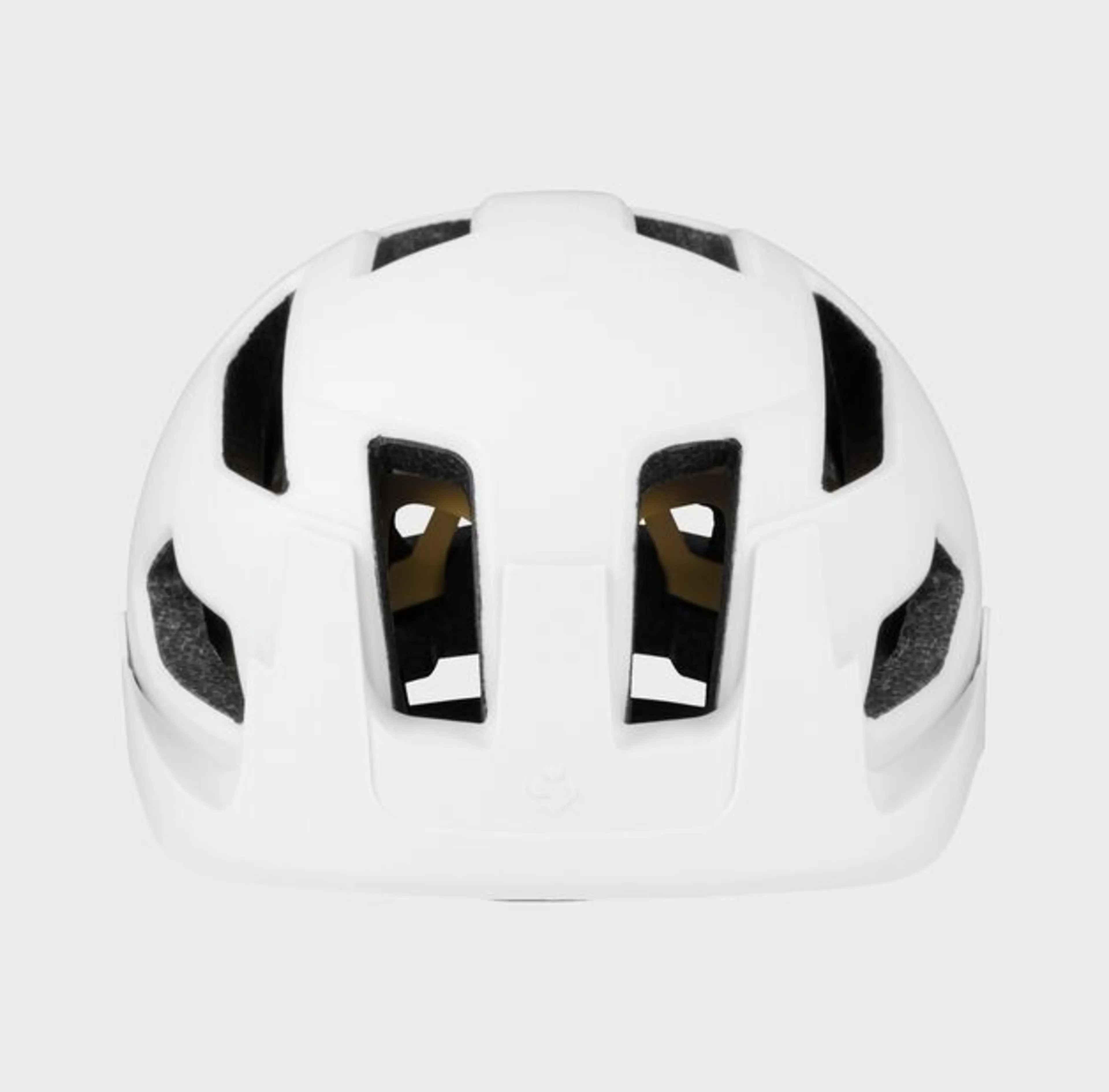 Dissenter MIPS Helmet