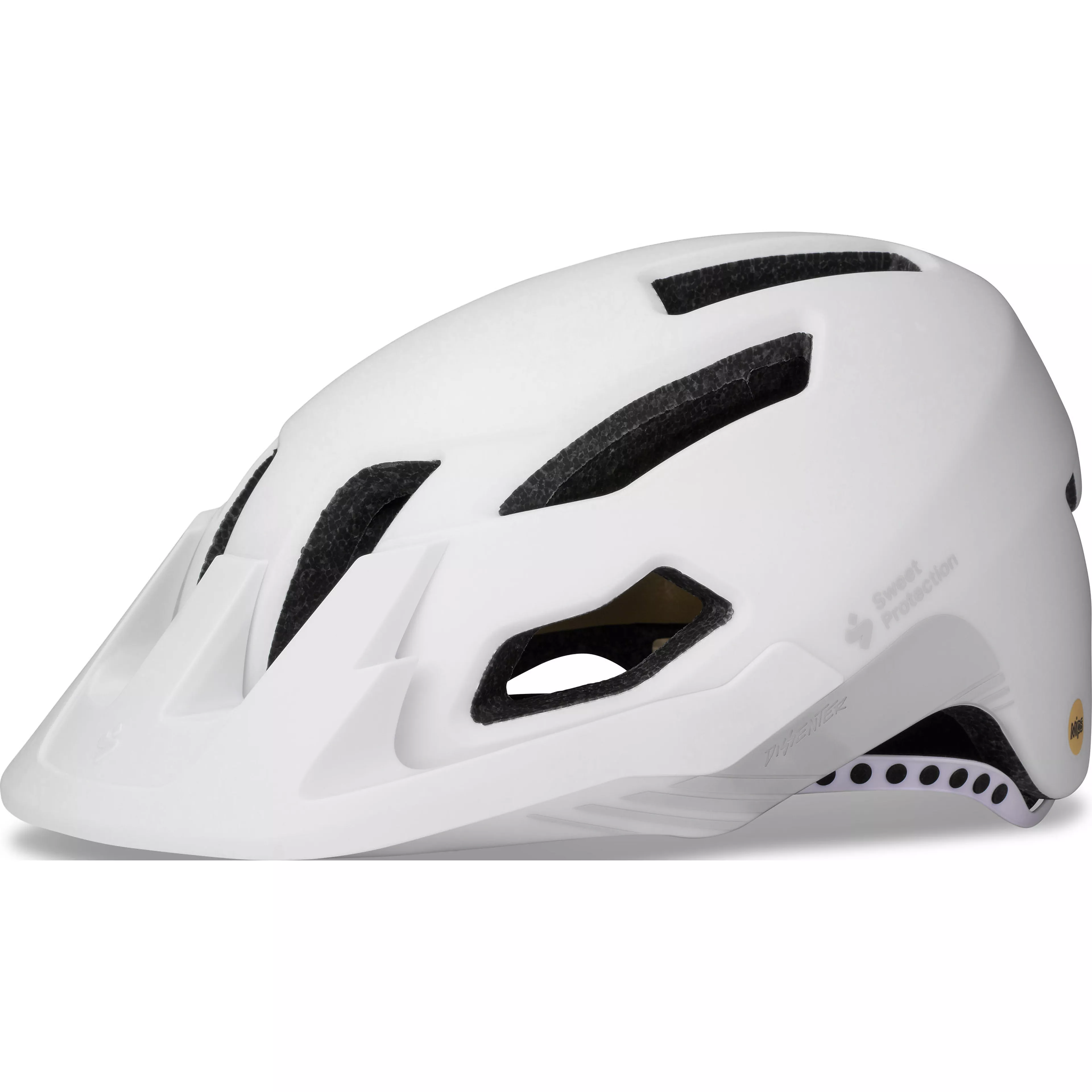 Dissenter MIPS Helmet