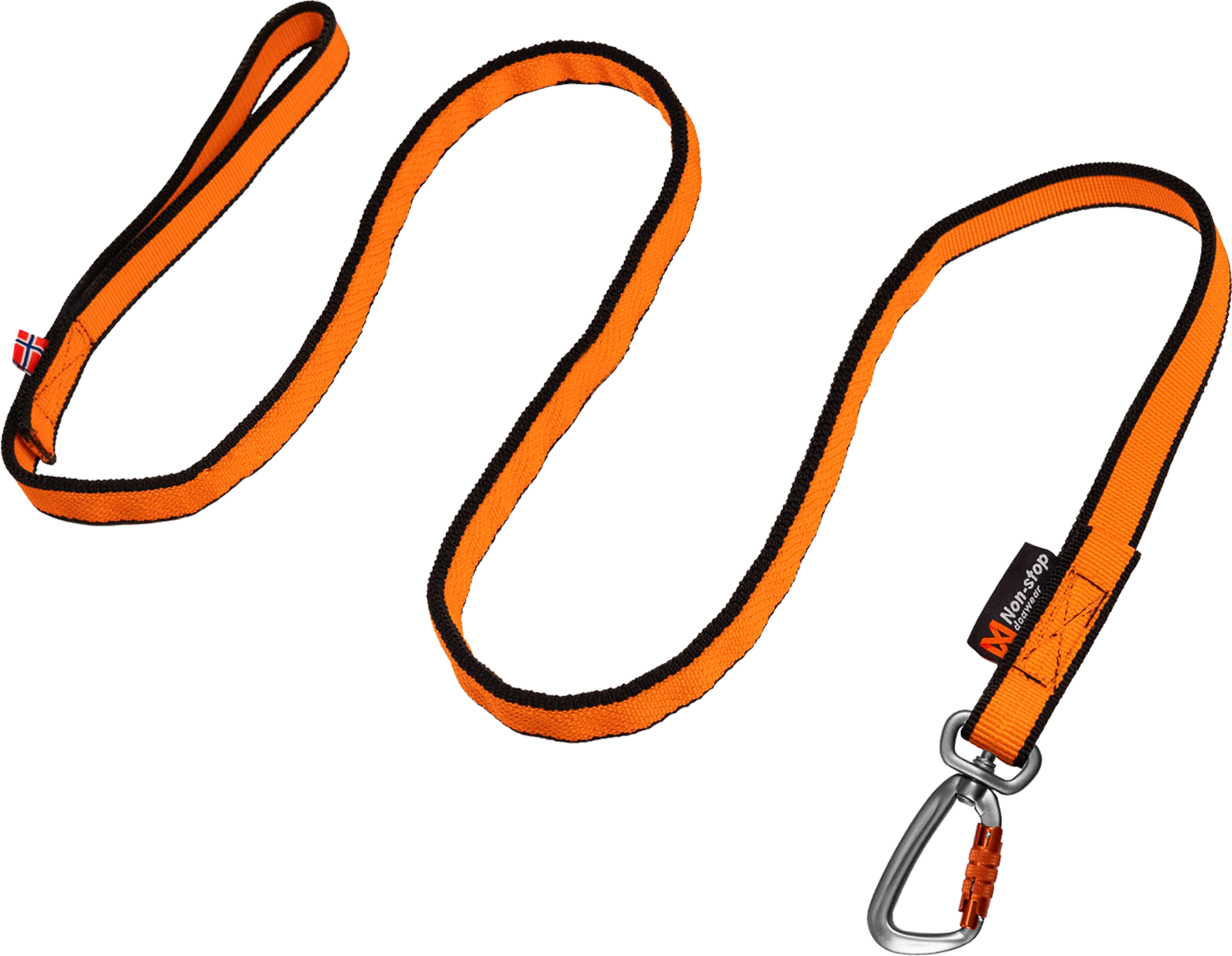 Bungee leash