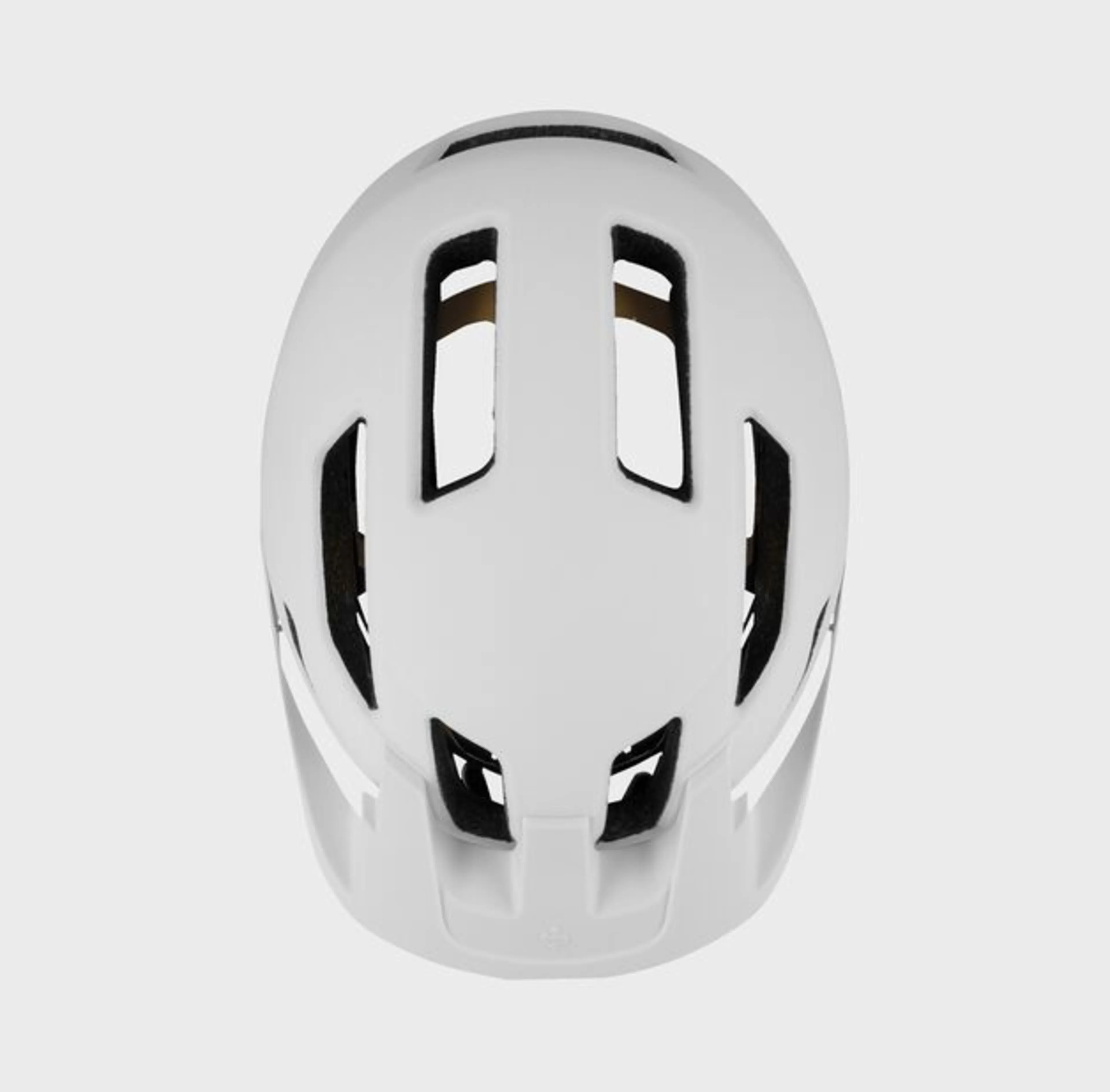 Dissenter MIPS Helmet