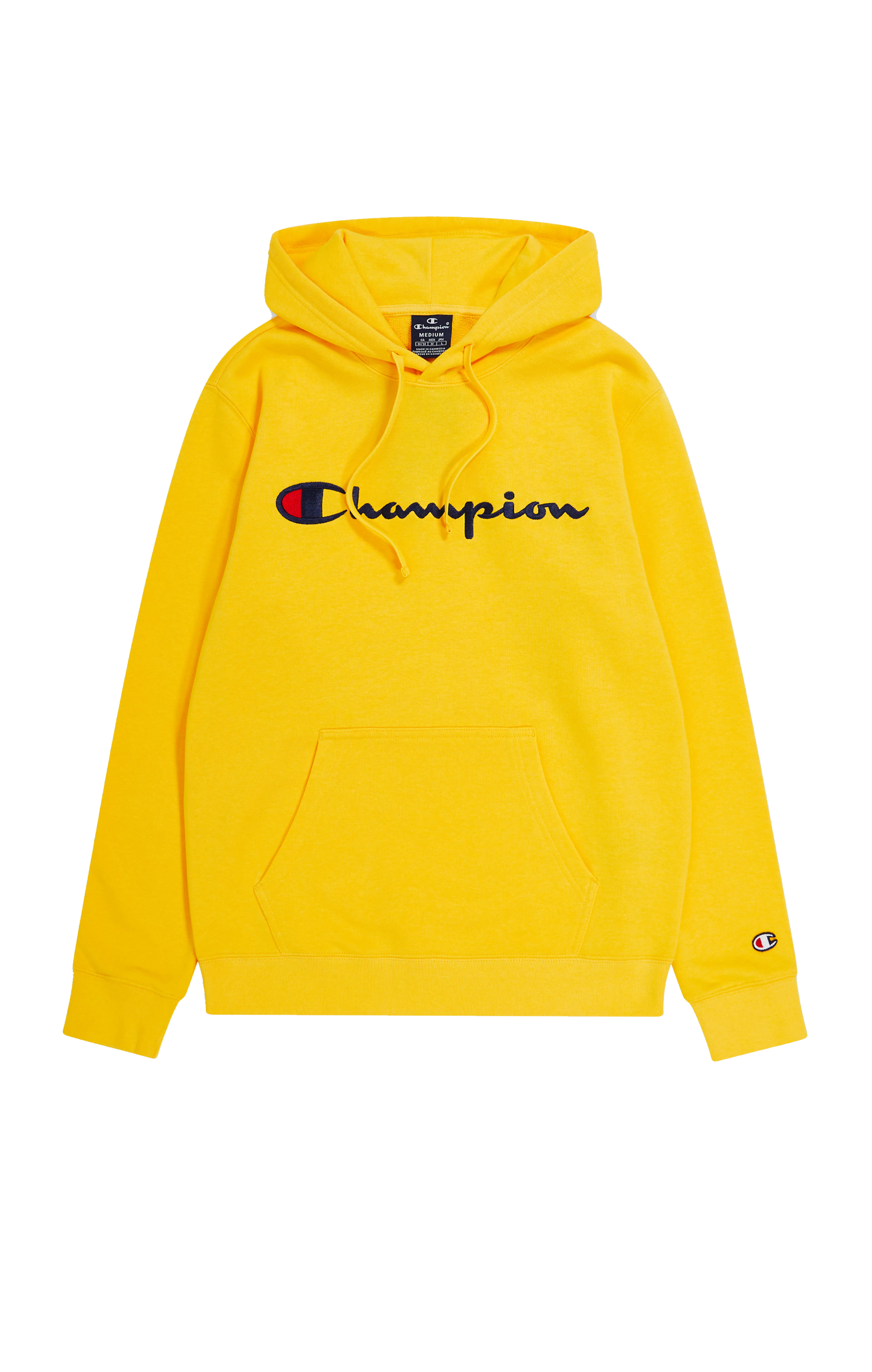 Icons Hooded Sweatshirt Large Logo