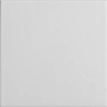 7766776 - TONALITE Aquarel, Bianco 15x15 (a).jpg