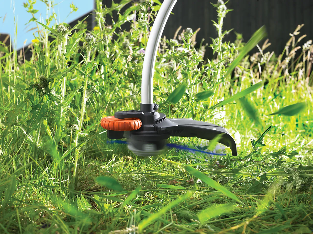 Gresstrimmer 800W GL8033 null - null - 2 - Miniatyr