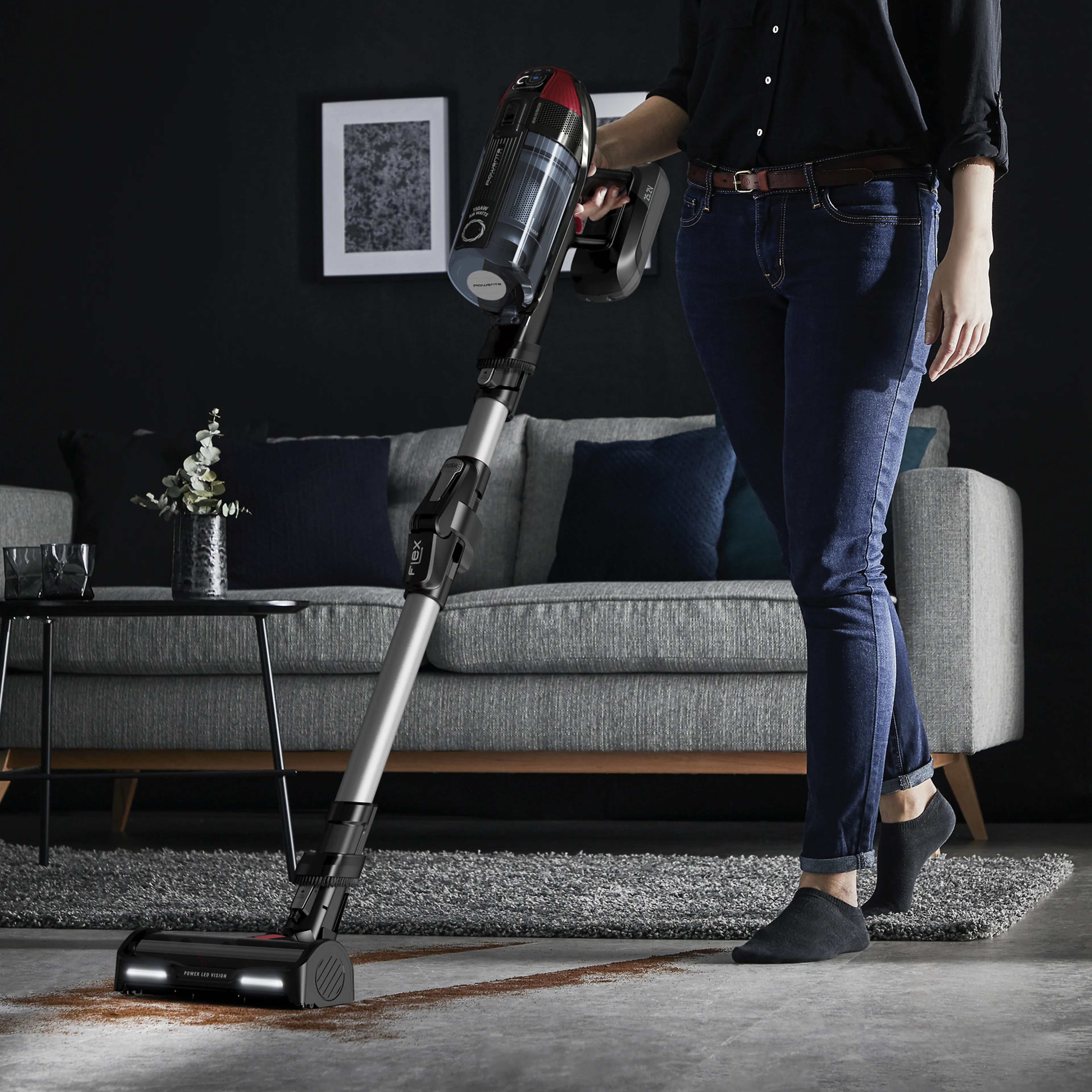 Rowenta steelstofzuiger X-Force Flex 12.60 Animal Care - Zilver