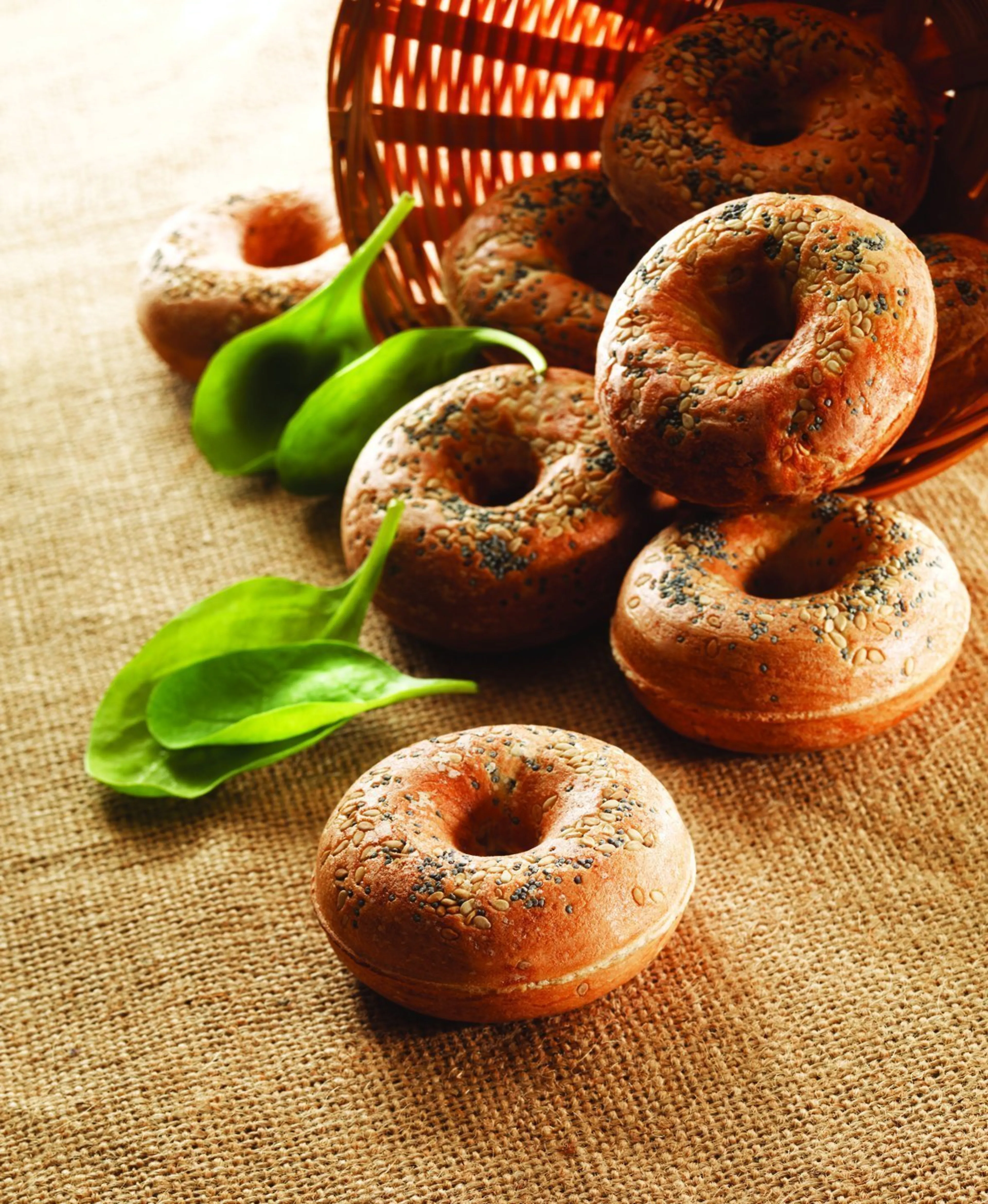 Tefal Snack Collection Donutplaten - 2 pcs - 242x155 mm