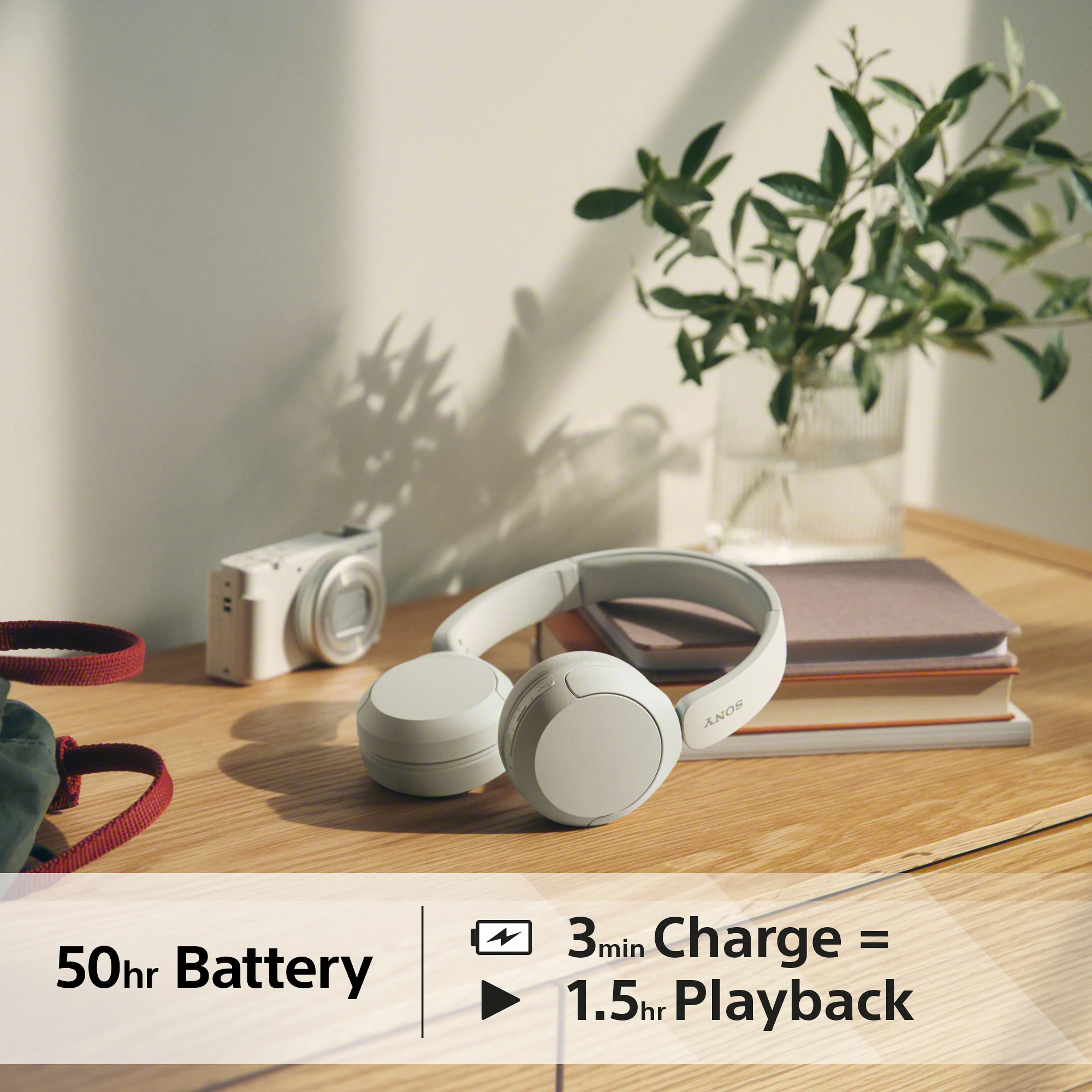 Sony wireless hoofdtelefoon WH-CH520 draadloos