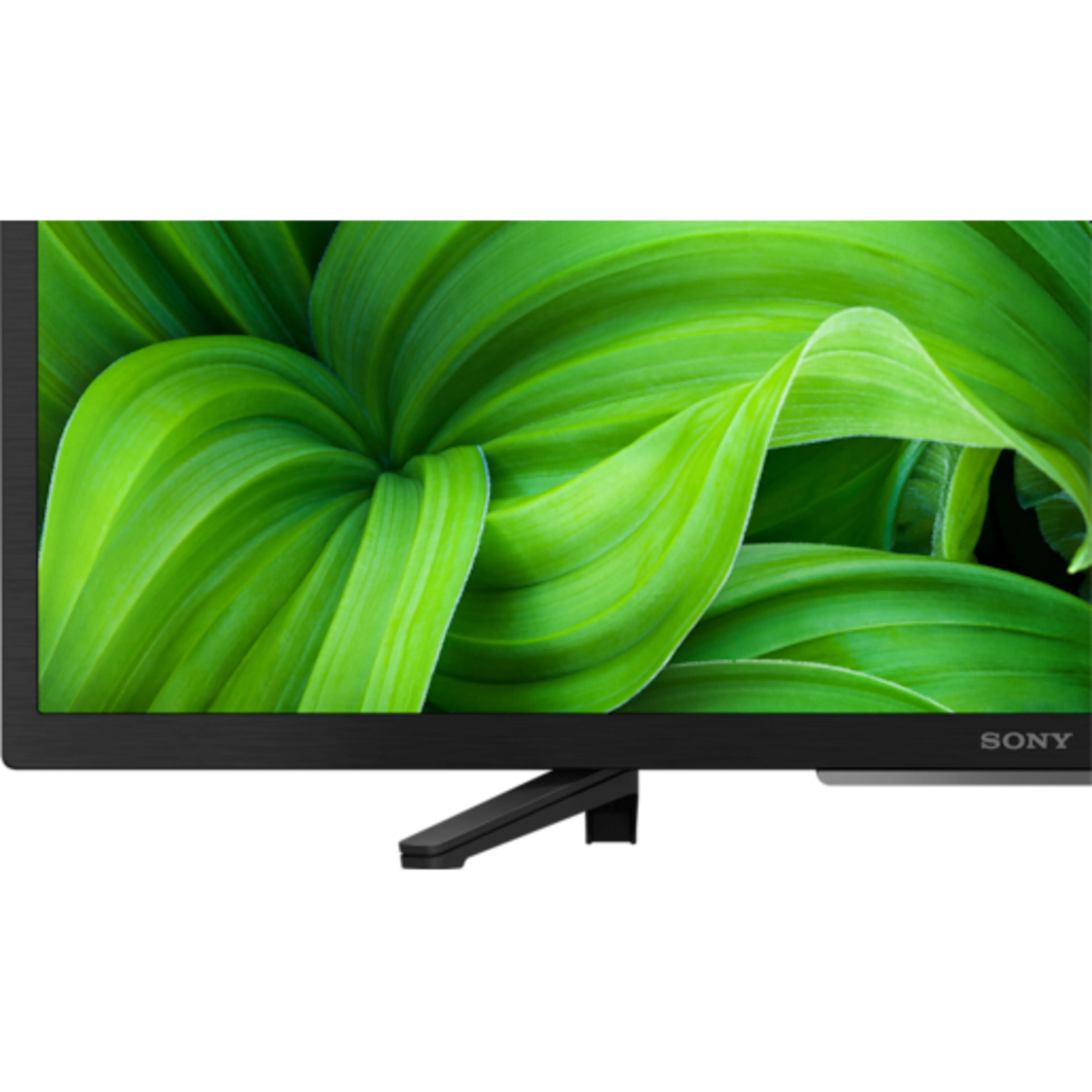 Sony W800 KD32W804P1AEP - 32" - Google TV - 2K LCD
